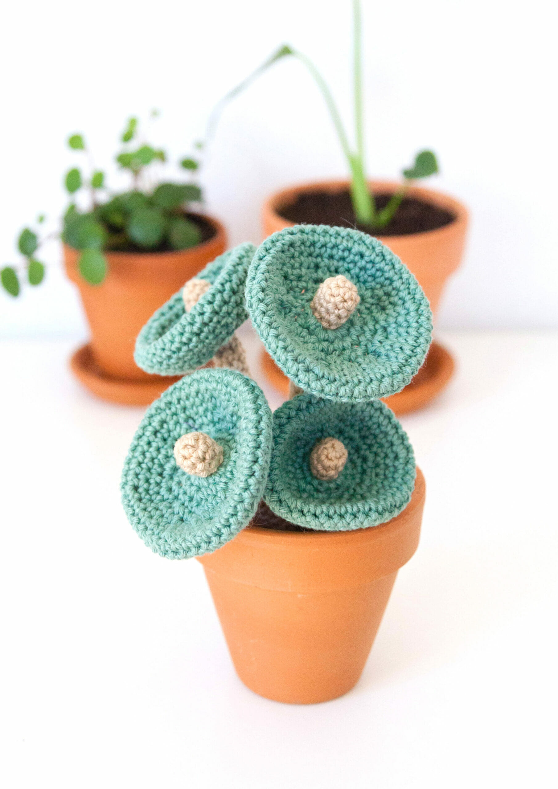 Amigurumi