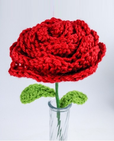 Rosa