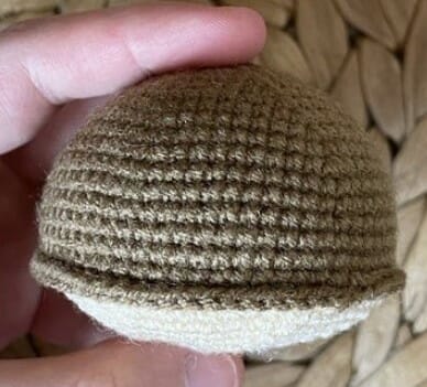 Ganchillo Linda Tortuga Amigurumi PDF Patrón Gratis Ganchillo Linda Tortuga Amigurumi PDF Patrón Gratis